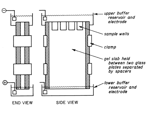 Click to View Image